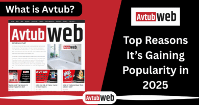 What is Avtub?