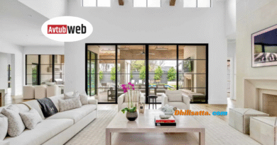 Dhilisatta.com Complete Platform Overview 2025