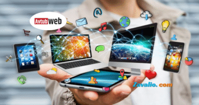 Zavalio com 2025 Guide Everything You Need to Know