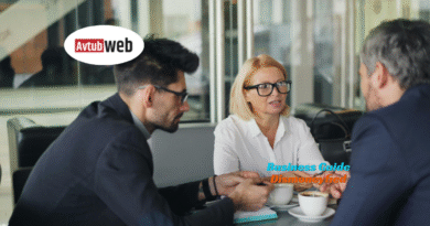 Business Guide Dismoneyfied Complete Guide to Profit Growth