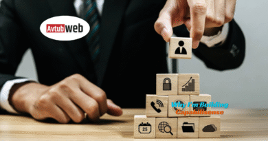 Why I’m Building Capabilisense Grow Your Capabilities