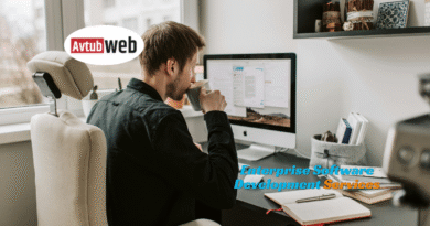 Enterprise Software Development Services That Guarantee Growth