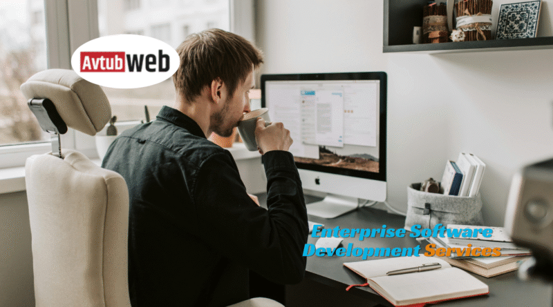 Enterprise Software Development Services That Guarantee Growth